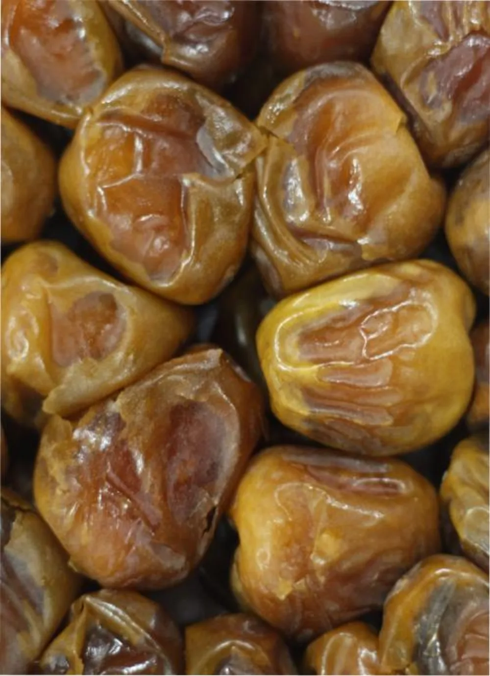 Kurma Sukari Al-Qassim Grade A 500g / 1kg / 3kg